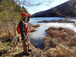 Vermont foresters can help