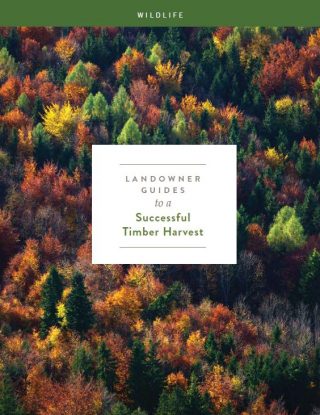 Guides for Vermont landowners