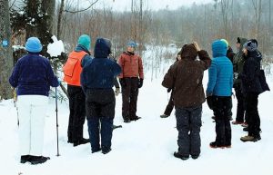 Hinesburg Town Forest wildlife walk