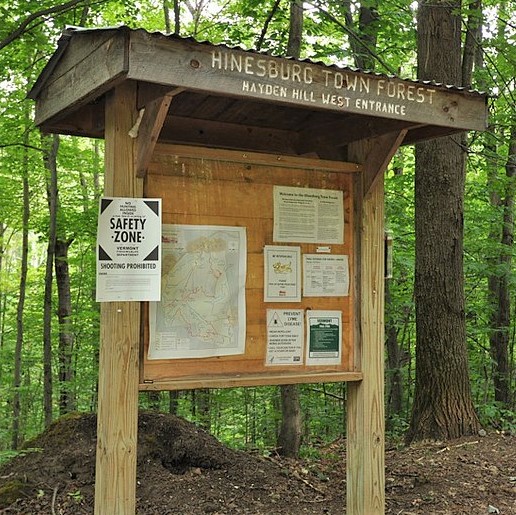 Town Forest Planning in Northern Vermont