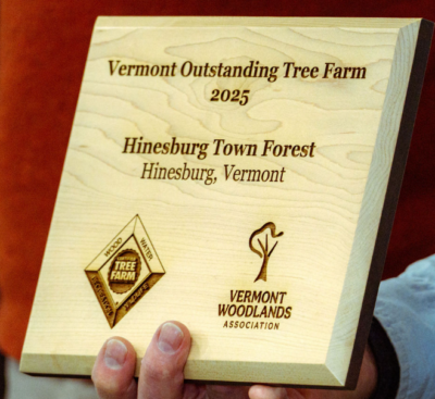 Vermont Tree Farm of the Year